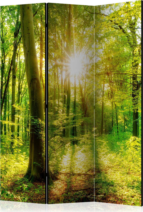 Paravento-Forest-Rays-[Room-Dividers]