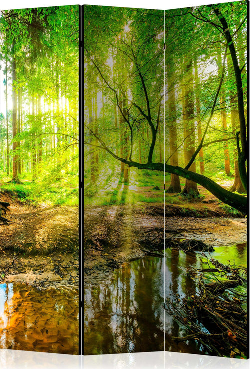 Paravento-Forest-Stream-[Room-Dividers]