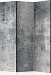 Paravento-Fresh-Concrete-[Room-Dividers]