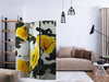 Paravento-Fresh-Paint-[Room-Dividers]