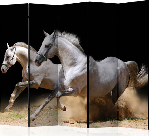 Paravento-Galloping-horses-on-the-sand-II-[Room-Dividers]
