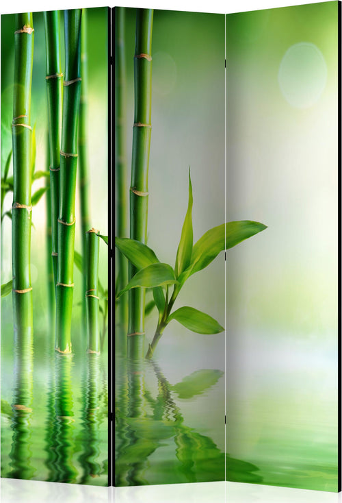 Paravento-Green-Bamboo-[Room-Dividers]