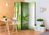 Paravento-Green-Bamboo-[Room-Dividers]