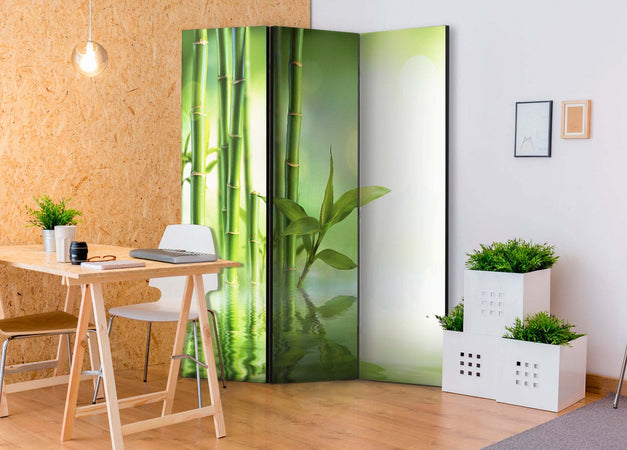 Paravento-Green-Bamboo-[Room-Dividers]