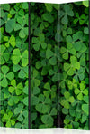 Paravento-Green-Clover-[Room-Dividers]