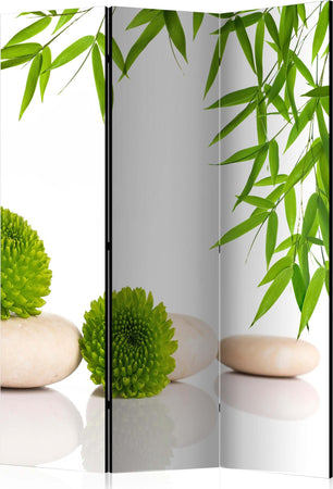 Paravento-Green-Relax-[Room-Dividers]