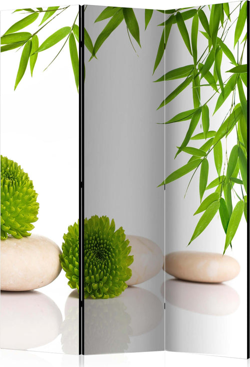 Paravento-Green-Relax-[Room-Dividers]