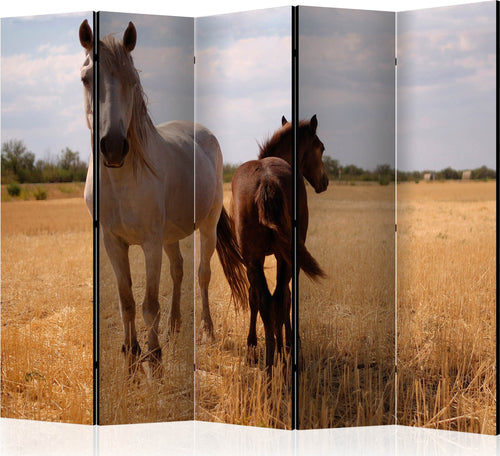 Paravento-Horse-and-foal-II-[Room-Dividers]