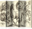 Paravento-Horse-II-[Room-Dividers]