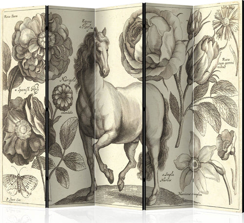 Paravento-Horse-II-[Room-Dividers]