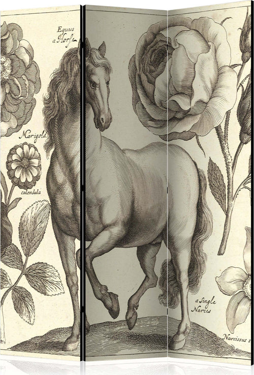 Paravento-Horse-[Room-Dividers]