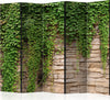 Paravento-Ivy-wall-II-[Room-Dividers]