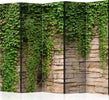 Paravento-Ivy-wall-II-[Room-Dividers]