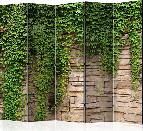 Paravento-Ivy-wall-II-[Room-Dividers]