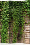 Paravento-Ivy-wall-[Room-Dividers]