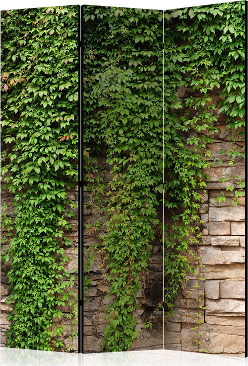 Paravento-Ivy-wall-[Room-Dividers]