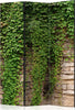 Paravento-Ivy-wall-[Room-Dividers]