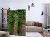 Paravento-Ivy-wall-[Room-Dividers]
