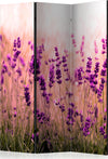 Paravento-Lavender-in-the-Rain-[Room-Dividers]