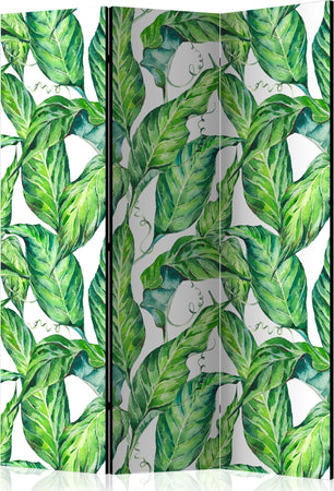 Paravento-Long-Leaves-[Room-Dividers]