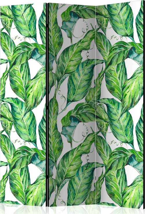 Paravento-Long-Leaves-[Room-Dividers]