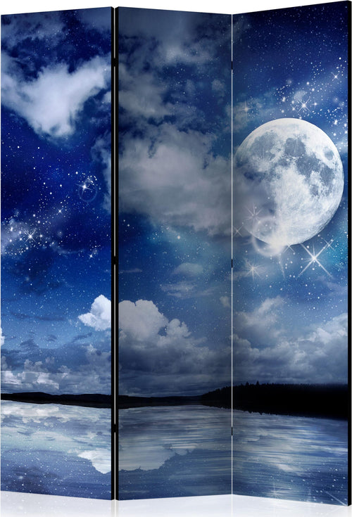 Paravento-Magic-Night-[Room-Dividers]