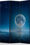 Paravento-Moonlit-night-[Room-Dividers]