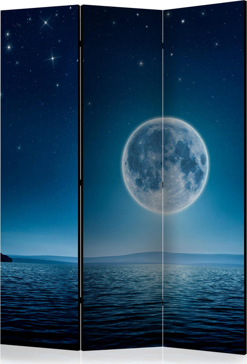 Paravento-Moonlit-night-[Room-Dividers]