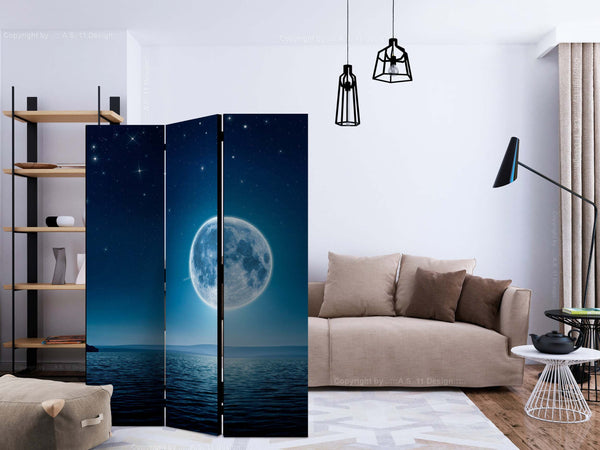 Paravento-Moonlit-night-[Room-Dividers]