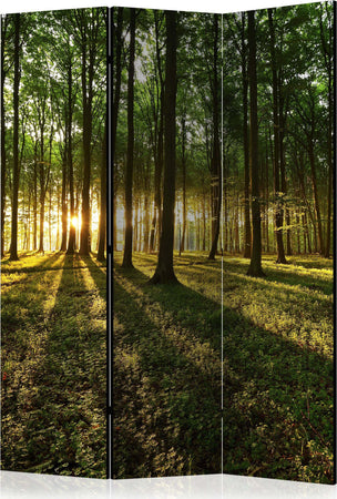 Paravento-Morning-in-the-Forest-[Room-Dividers]