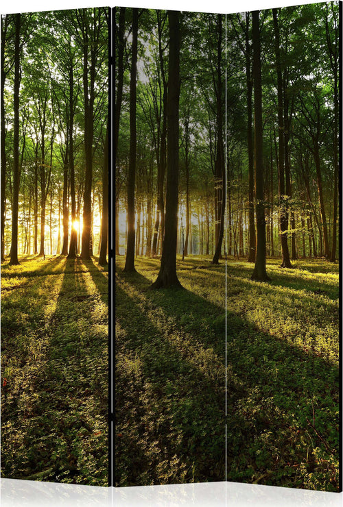 Paravento-Morning-in-the-Forest-[Room-Dividers]