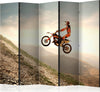 Paravento-Motor-sport-II-[Room-Dividers]