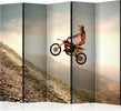 Paravento-Motor-sport-II-[Room-Dividers]