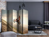 Paravento-Motor-sport-II-[Room-Dividers]