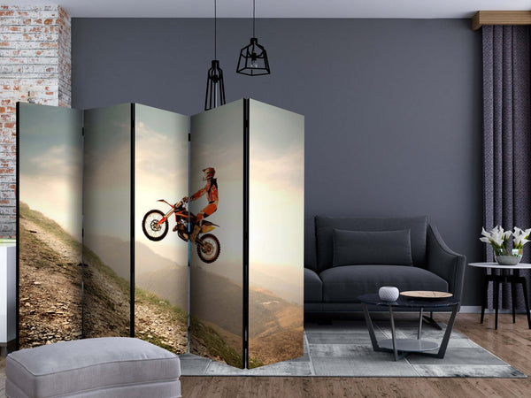 Paravento-Motor-sport-II-[Room-Dividers]