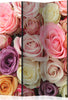 Paravento-Pastel-roses-[Room-Dividers]