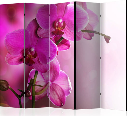 Paravento-Pink-orchid-II-[Room-Dividers]