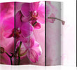 Paravento-Pink-Orchid-II-[Room-Dividers]
