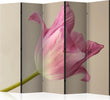 Paravento-Pink-tulip-II-[Room-Dividers]