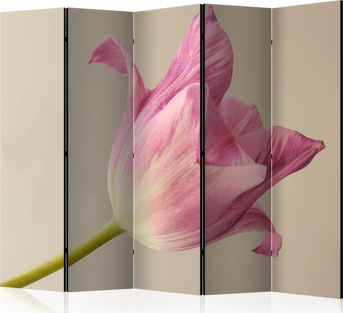 Paravento-Pink-tulip-II-[Room-Dividers]