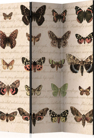 Paravento-Retro-Style:-Butterflies-[Room-Dividers]