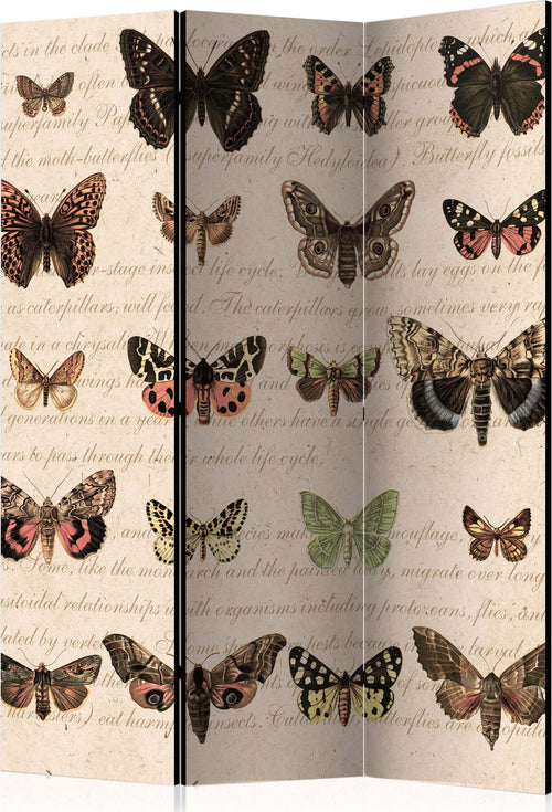 Paravento-Retro-Style:-Butterflies-[Room-Dividers]