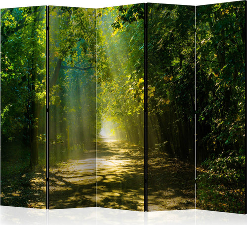 Paravento-Road-in-Sunlight-II-[Room-Dividers]
