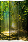 Paravento-Road-in-Sunlight-[Room-Dividers]