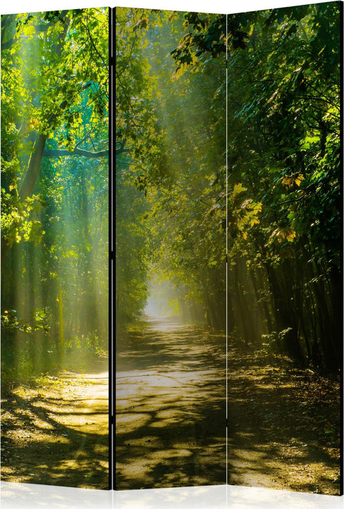 Paravento-Road-in-Sunlight-[Room-Dividers]