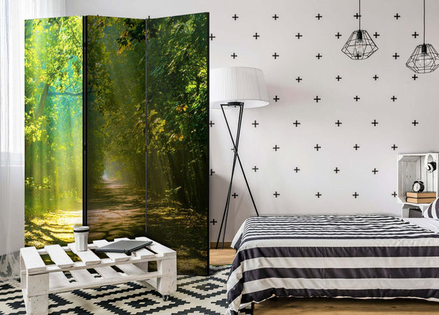 Paravento-Road-in-Sunlight-[Room-Dividers]