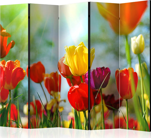 Paravento-Spring-Tulips-II-[Room-Dividers]
