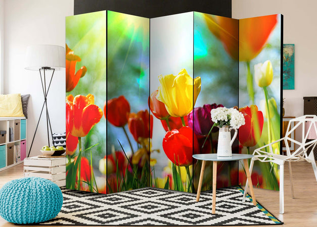 Paravento-Spring-Tulips-II-[Room-Dividers]