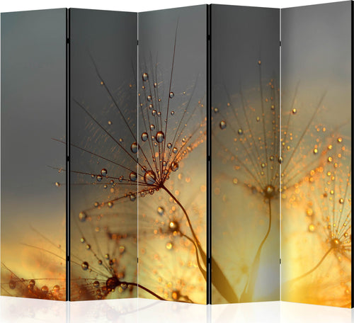 Paravento-Summer-Solstice-II-[Room-Dividers]