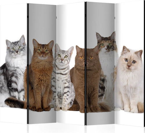Paravento-Sweet-Cats-II-[Room-Dividers]